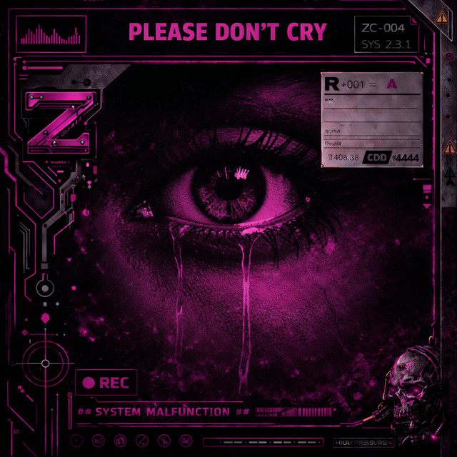 Please Don't Cry