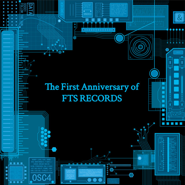 The First Anniversary of FTS RECORDS cover art