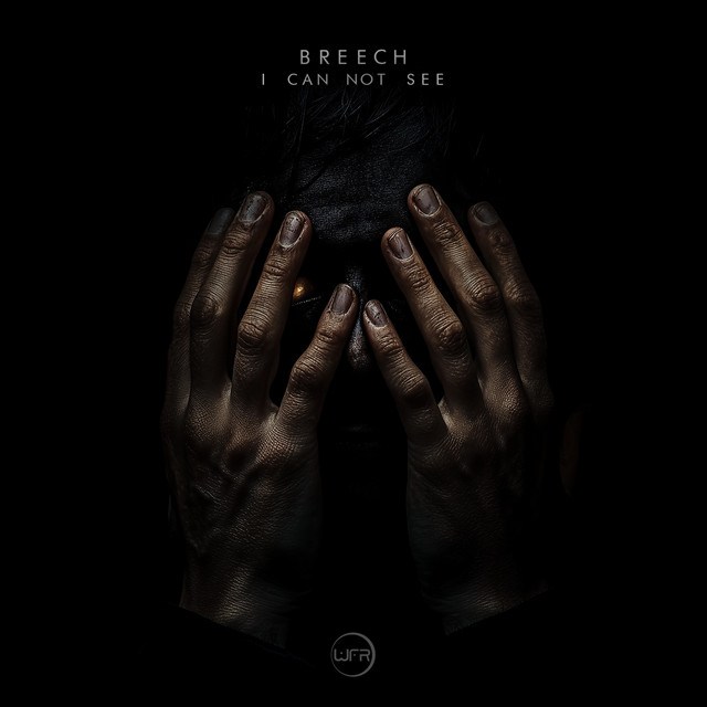 I Can Not See album art