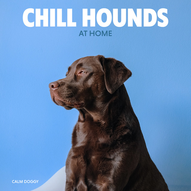 Chill Hounds at Home - Album by Calm Doggy | Spotify