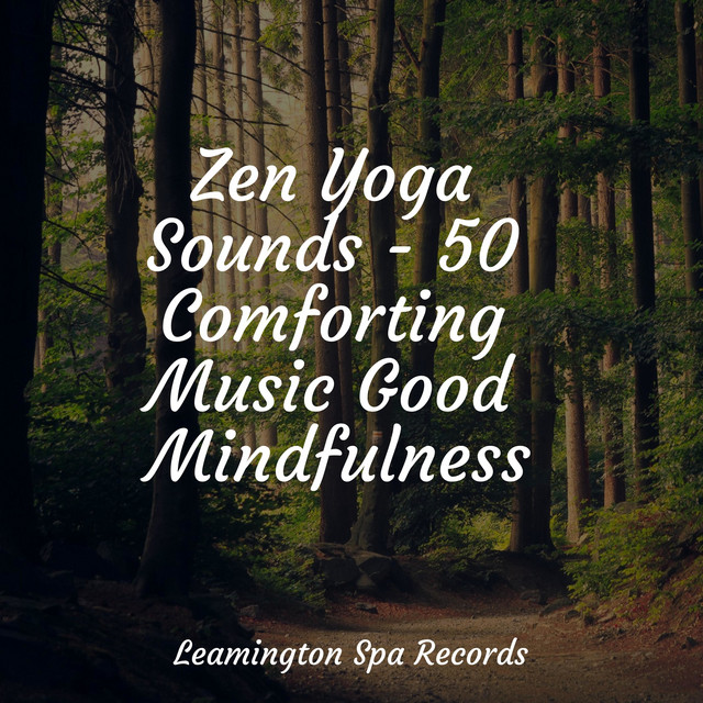 Zen Yoga Sounds - 50 Comforting Music Good Mindfulness - Album by ...