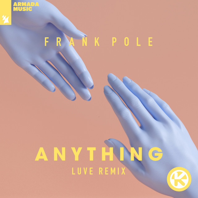 Anything (LUVE Remix) cover art
