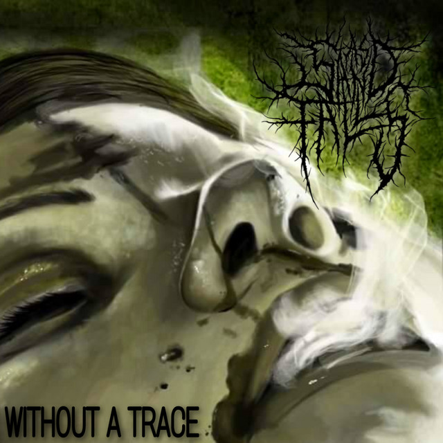 Without a Trace cover art