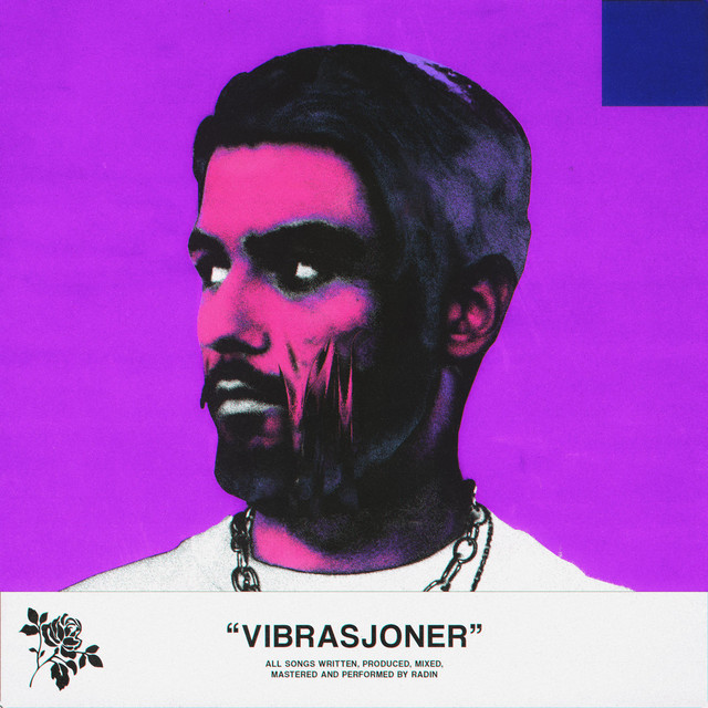 VIBRASJONER cover art