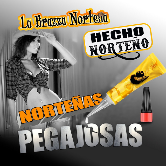 Norteñas Pegajosas cover art