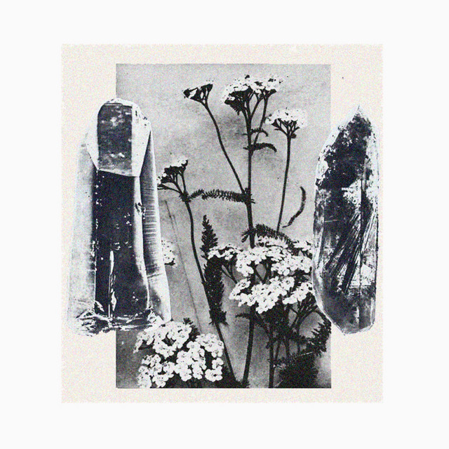 Most Forgotten cover art