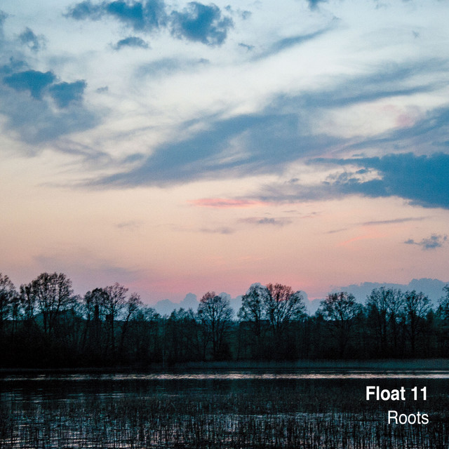 Roots cover art
