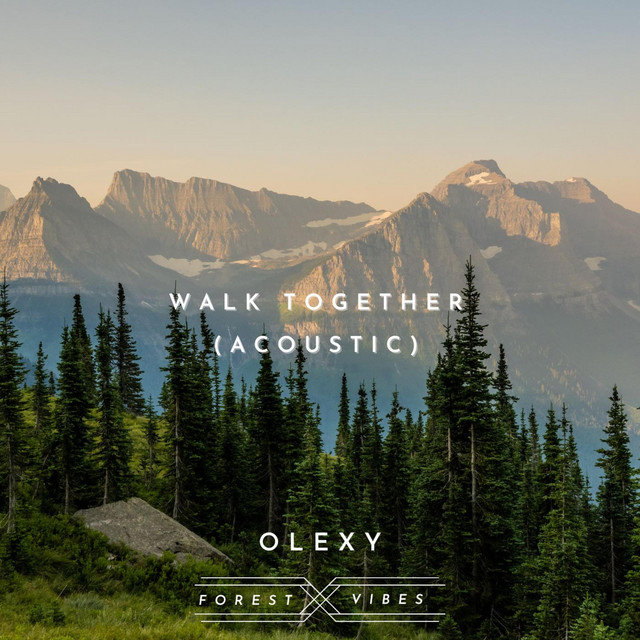 Cover art: Walk Together - Acoustic Piano and Guitar Version — Lesfm