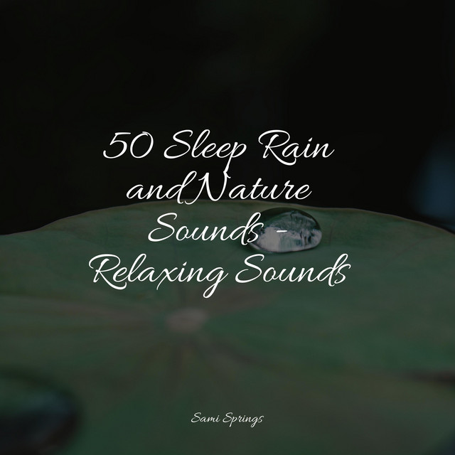 50 Sleep Rain and Nature Sounds - Relaxing Sounds - Album by Musica ...