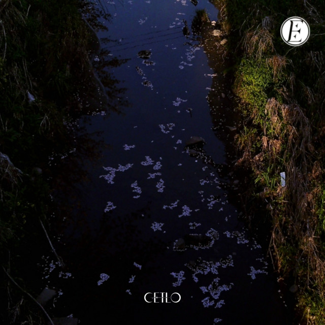 客観死 cover art