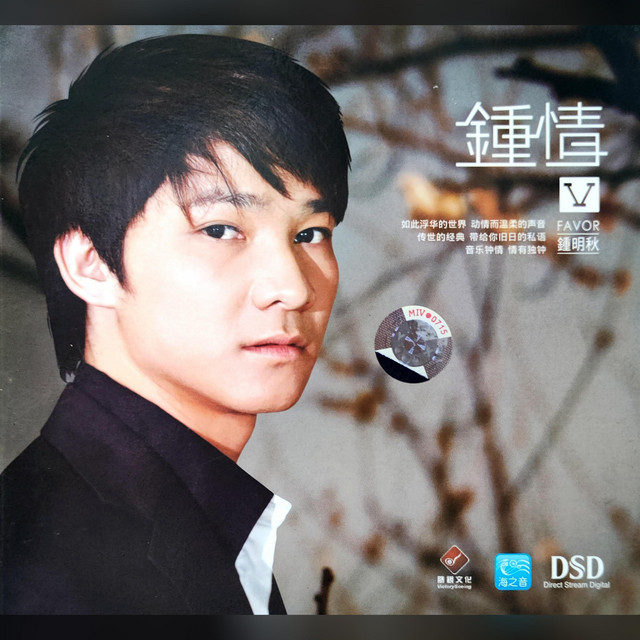 钟情V cover