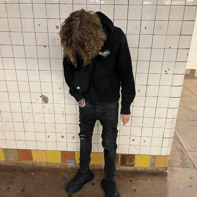 in my system cover art