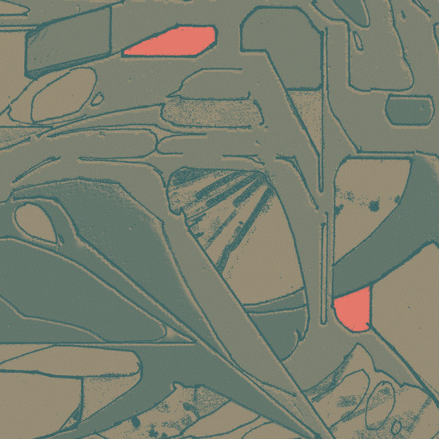 Asemia cover