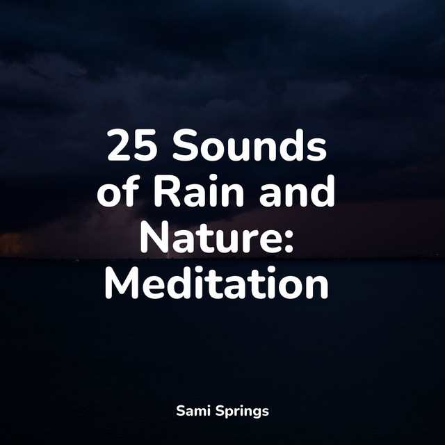 25 Sounds of Rain and Nature: Meditation - Album by Rain | Spotify