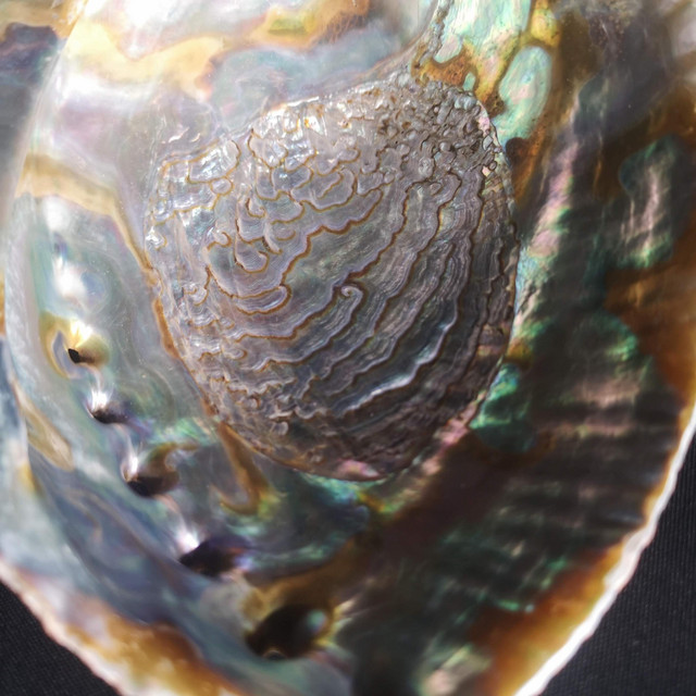 J̶̢̨̥̹͕̃̋̑̀͗̈͆̂̚ư̵͍̙͕͙̑̾̔̅͋̓͝͝s̸̫͕̻̹̮̲̥̼̟̘̱̿̏͘͜ţ̸̪̬̗̗̟̪̳̜̣̫̭̹̳̈́͋̅͌́̅̈́̂͌͐̒͆̾̕ ̶̧͇̻̦̫̱͐́̋̐̈́͠ U̸̘͊̒͒͂̎̿̈́̆̽̓́̔̍̈́s̴̳̺͈̮̞̒́̅̓̂͐̌̒̑͒́͌̕͠