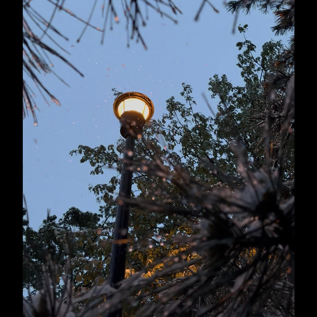 streetlights