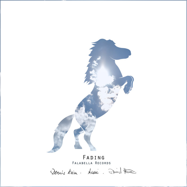 Обкладинка David Heine — Fading