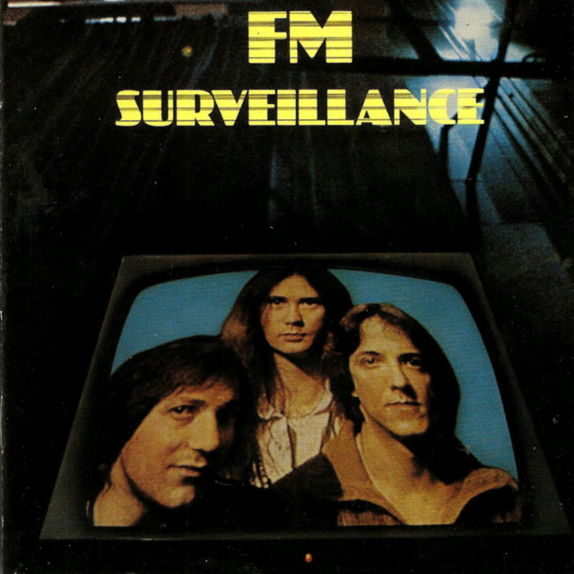 Surveillance cover art