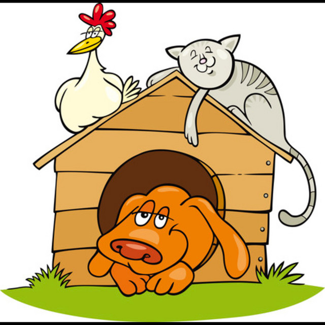Обкладинка: Funny Animals — EyeForMusic