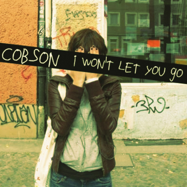 I Won't Let You Go cover