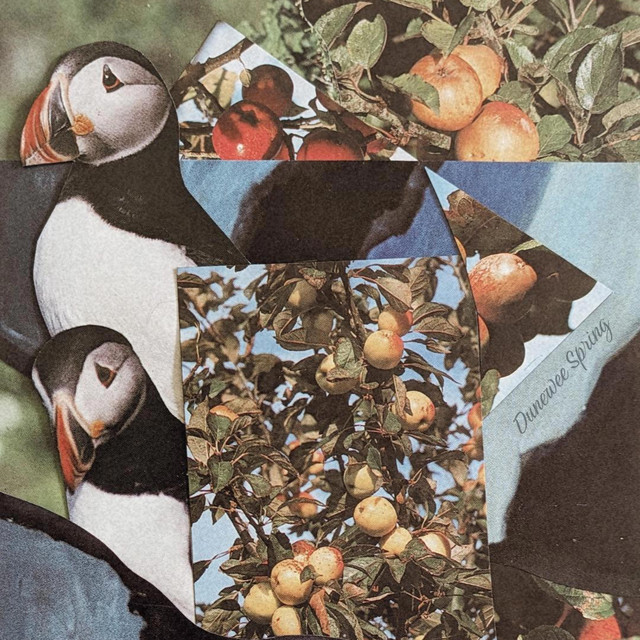 Spring cover art