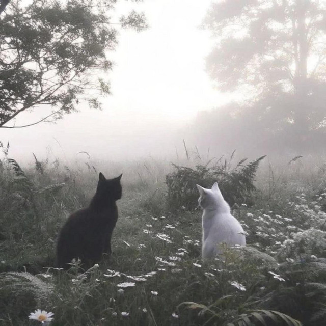 we could run away