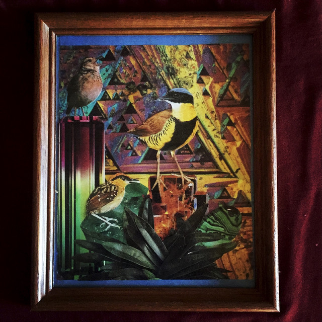 Terrarium cover art