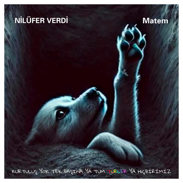 Matem cover