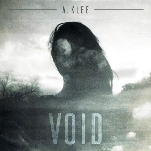 V O I D cover art