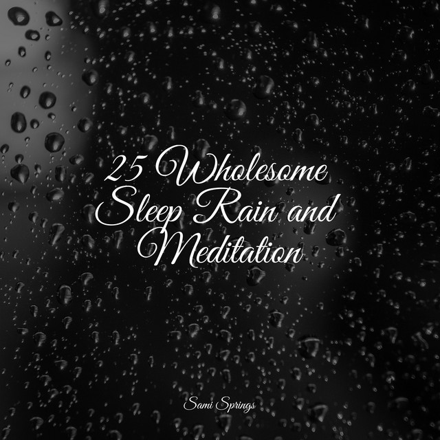 25 Wholesome Sleep Rain and Meditation - Album by White Noise For Baby ...