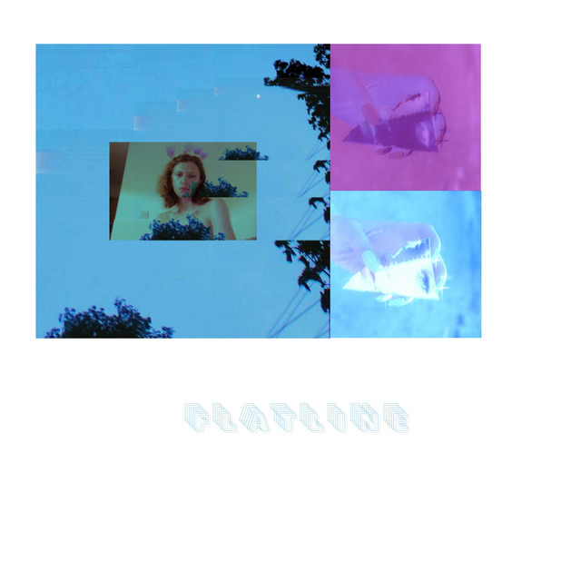 Flatline cover art
