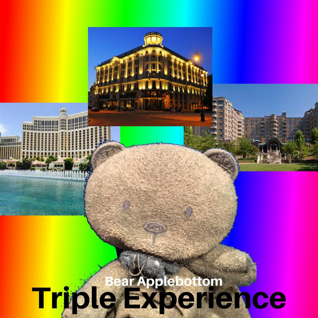 Triple Experience cover