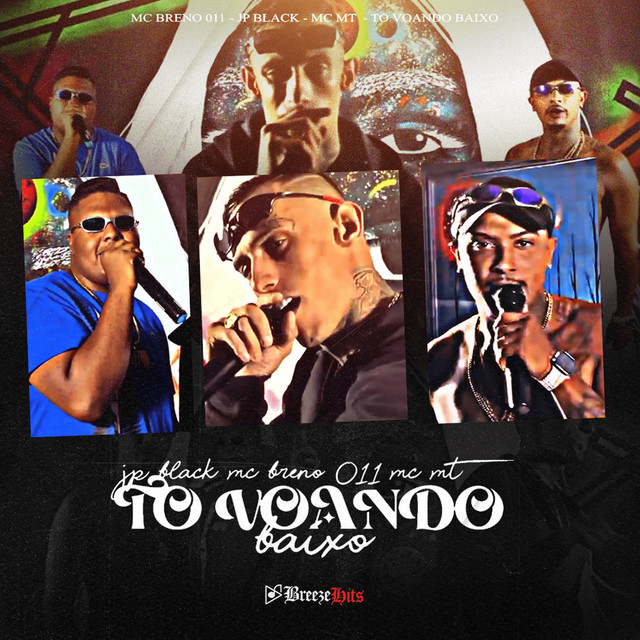 Tô Voando Baixo