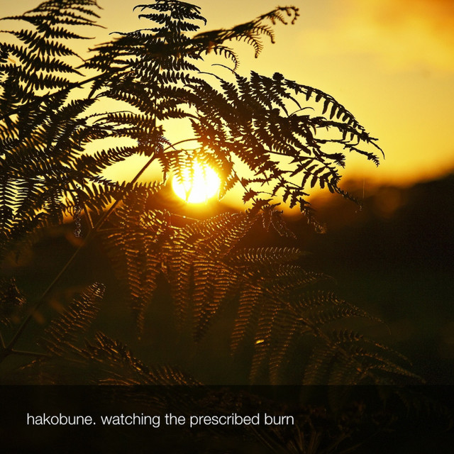 Watching the Prescribed Burn cover art
