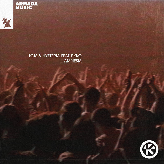 Amnesia cover art
