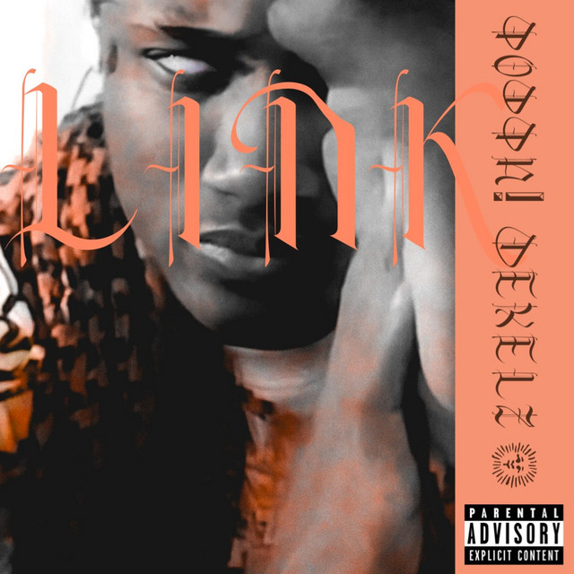 link cover art