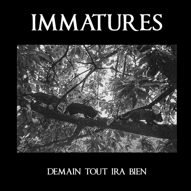 Demain tout ira bien cover art