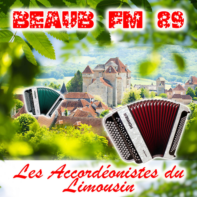 L'Accordeoniste Photo