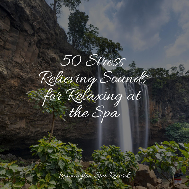 50 Stress Relieving Sounds for Relaxing at the Spa - Album by Sonidos ...
