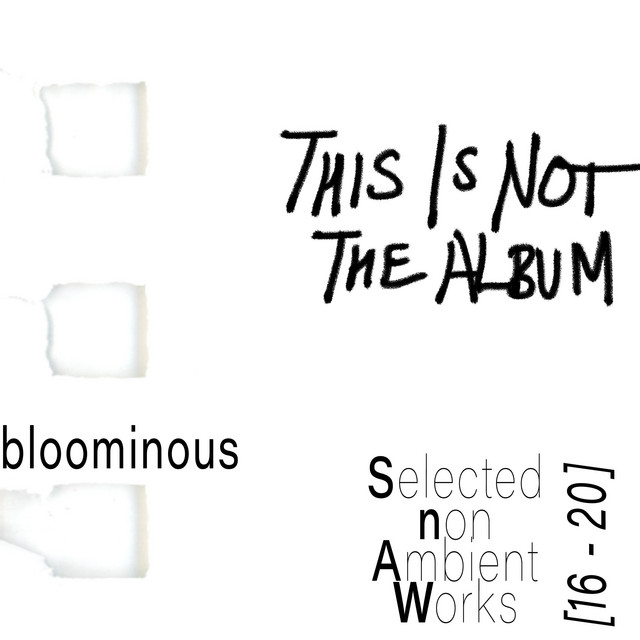Selected non Ambient Works 16-20 cover art
