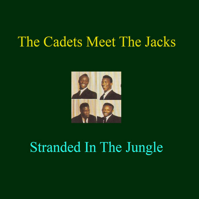 Stranded in the Jungle cover art