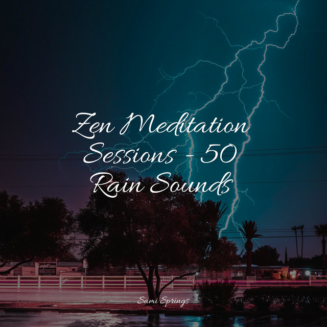Zen Meditation Sessions - 50 Rain Sounds - Album by A Sudden Rainstorm ...