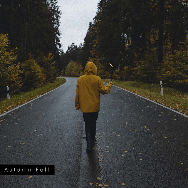 Обкладинка: Autumn Fall — VJ Beats