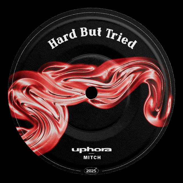 Hard But Tried - Extended Mix album art
