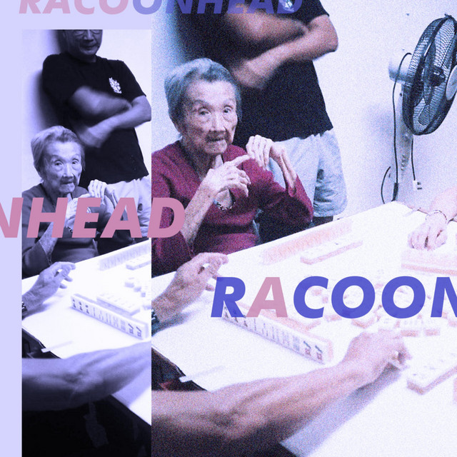 Racoonhead cover art