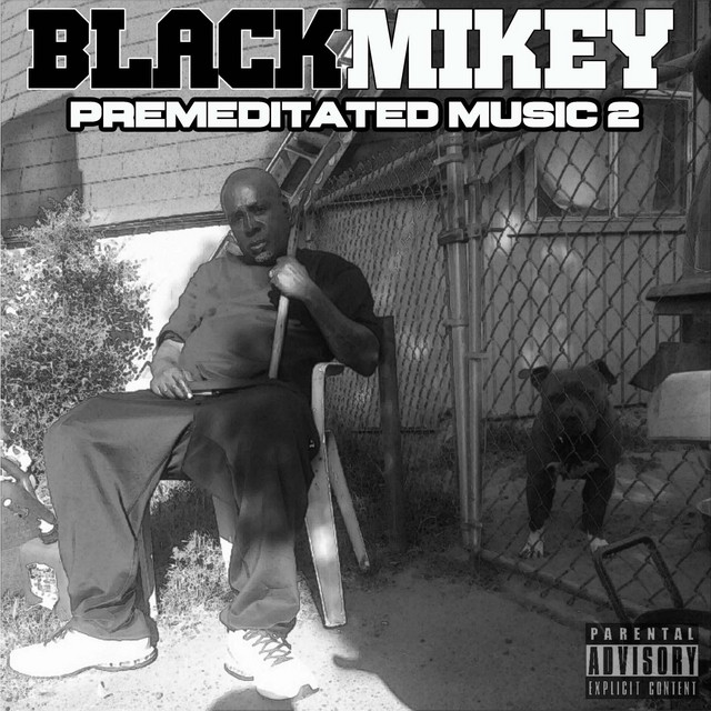 Premeditated Music 2 cover art