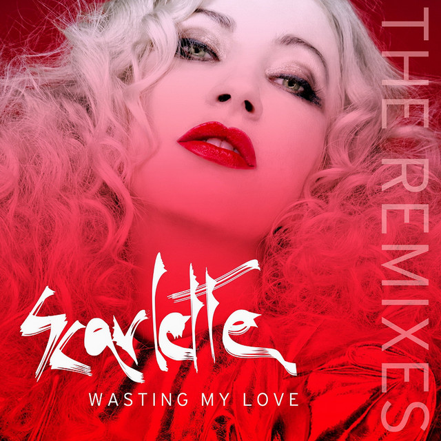 Wasting My Love (The Remixes) cover