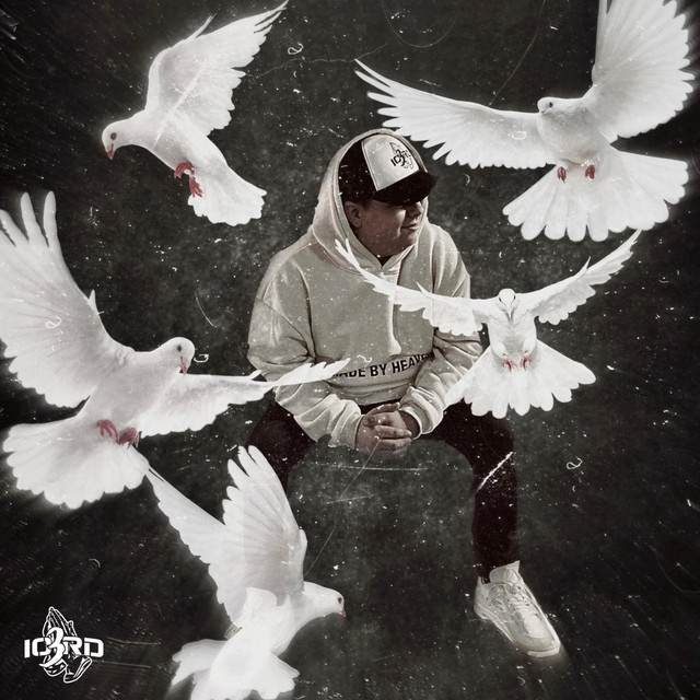 Transparency cover art