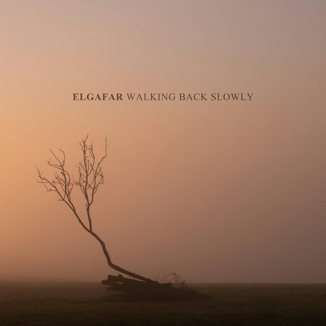 Walking Back Slowly album image