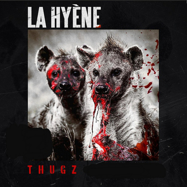 La Hyène Photo